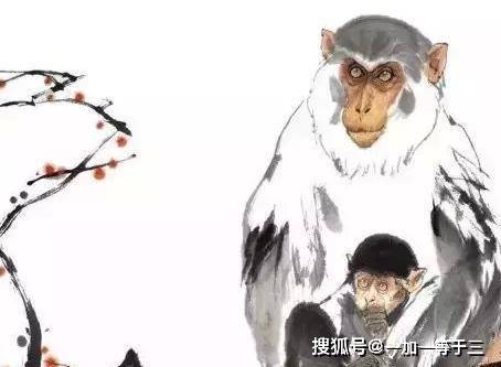 一丝不苟，好名多磨，心猿意马何中叹打一准确生肖,警惕虚假宣传落实,精准解答解释落实