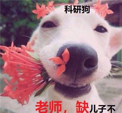 找哼哼唧唧打一生肖,警惕虚假宣传、全面解答、专家解答解释落实