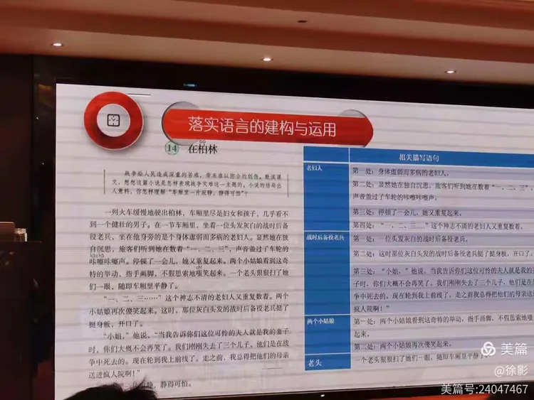 今期鼠猴兔出特,青草绿叶布满地指代表打猜一最佳准确生肖详细解答、综合解答解释落实